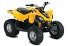 Can-Am DS 90 2013